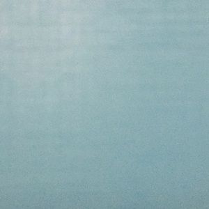 Meet your Posher, Tiana